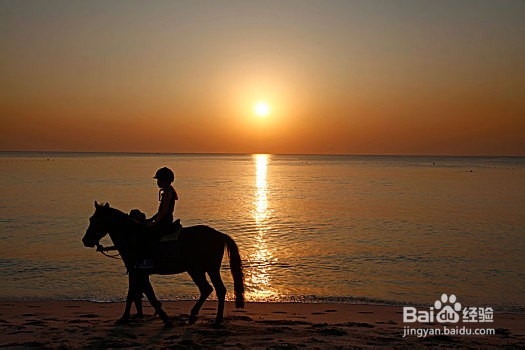 如何训练让马儿不紧张僵硬