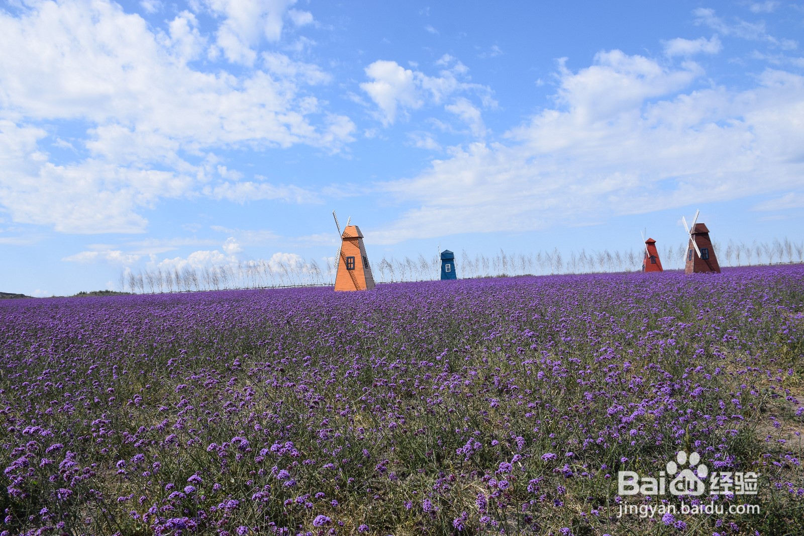 坝上草原民宿推荐，精品民宿价格