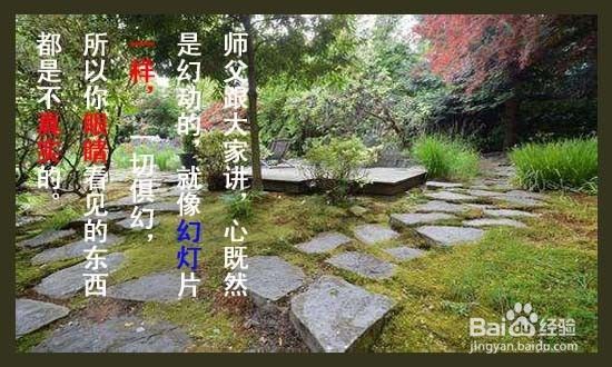 佛家经典禅语禅语是什么意思？（禅语是什么意思啊）[图]