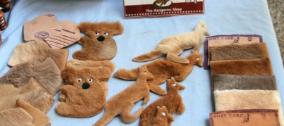 告诉你佰澳朗德的故乡澳洲有哪些“土特产”!