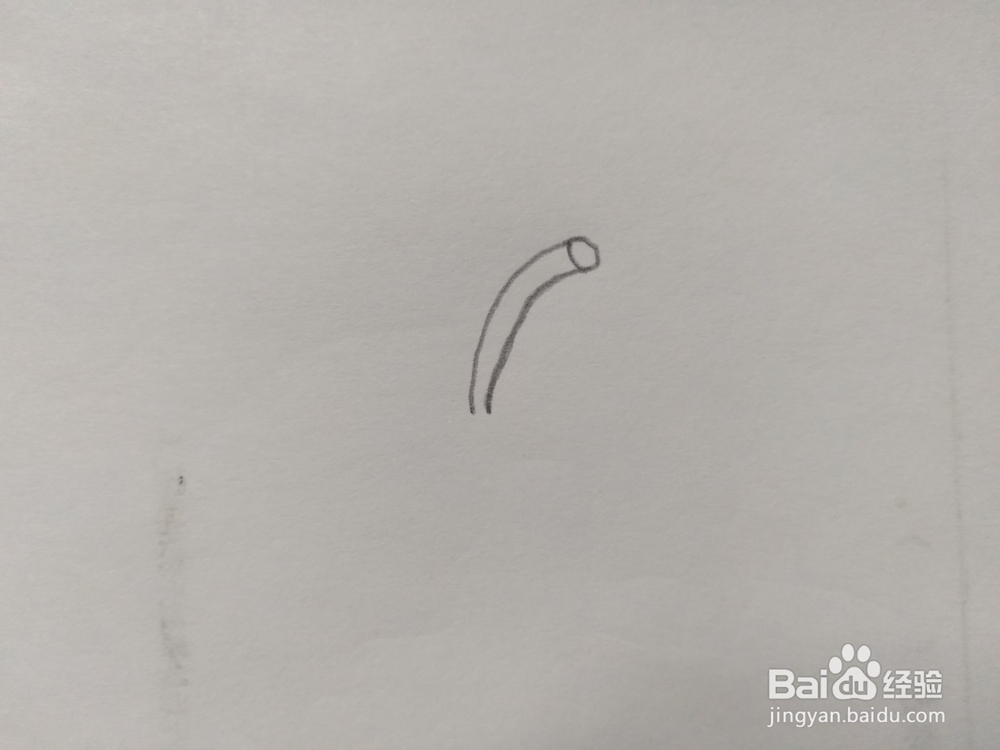 简笔画桃子画法5