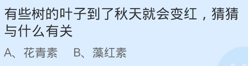 蚂蚁庄园2024.11.23:叶子到秋天会红与什么有关