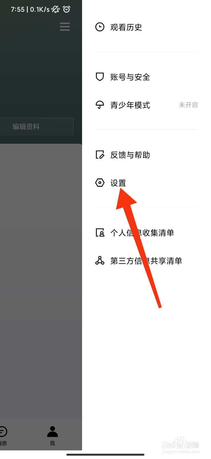 青桃怎么设置基本功能模式