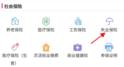 我的南京APP怎样查看失业保险缴费记录