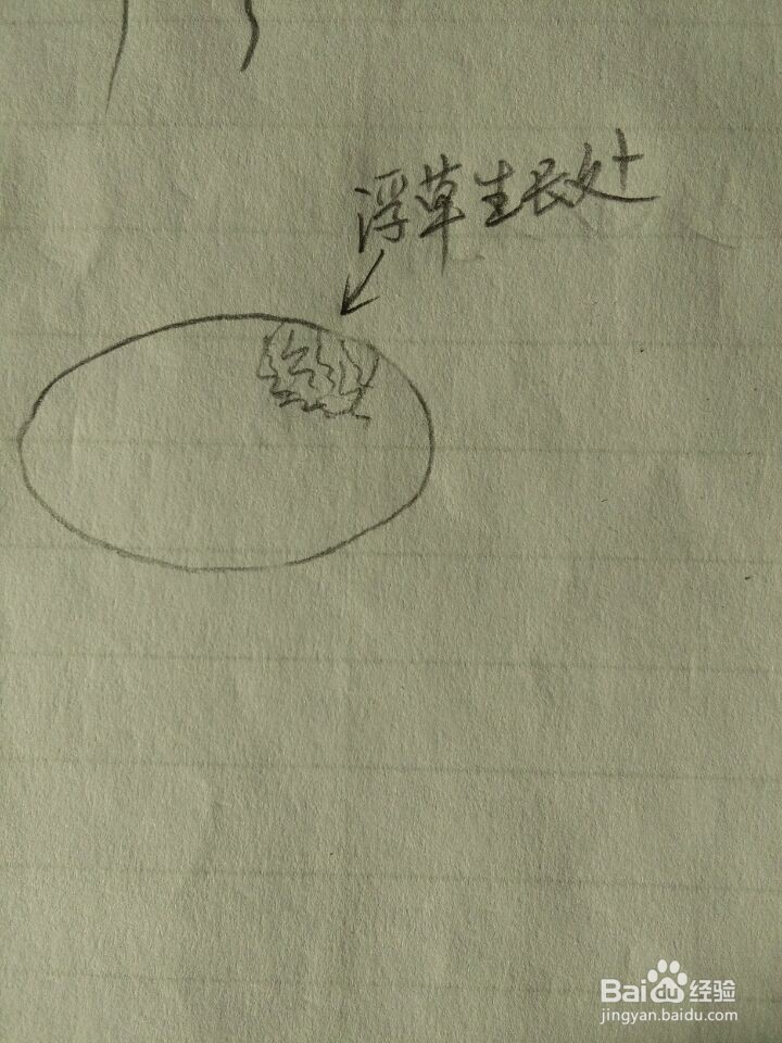 冬季如何才能钓到鱼