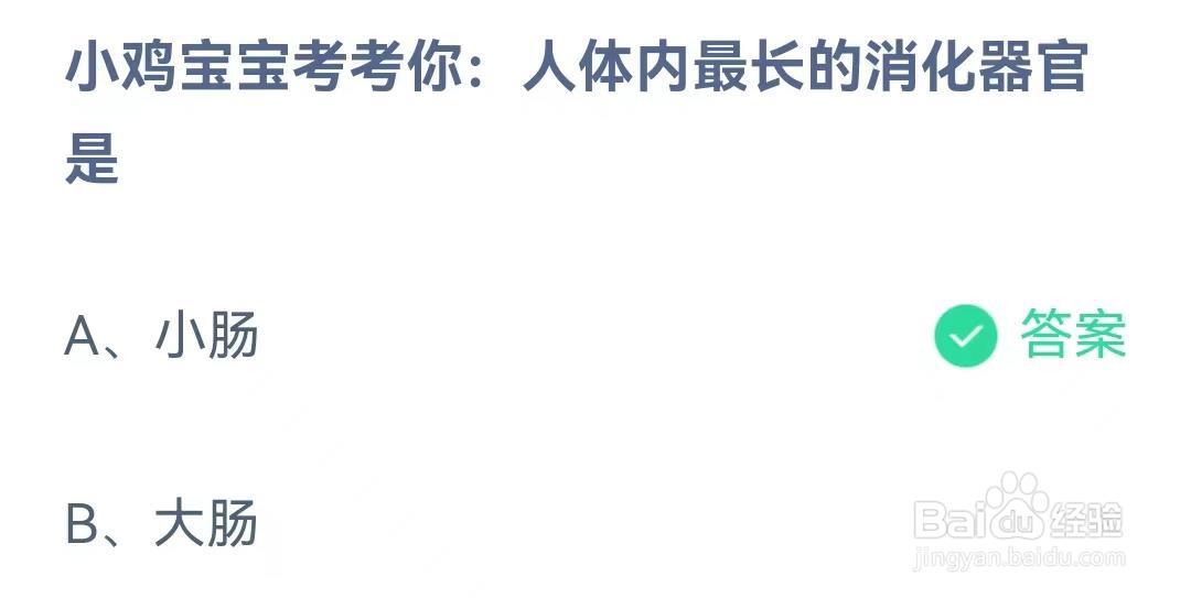 蚂蚁庄园8月18日问题，人体内最长的消化器官是？