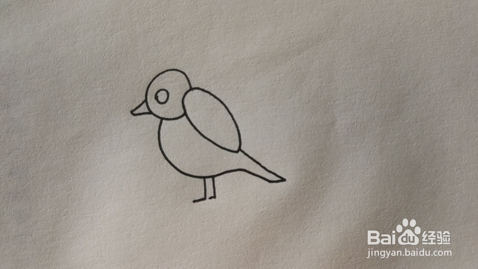 #经验分享官#小鸟简笔画
