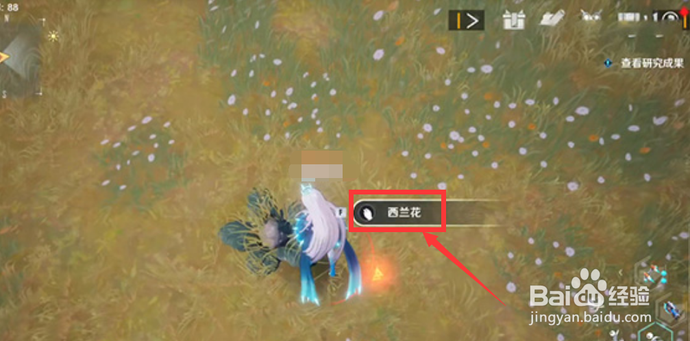 幻塔西兰花怎么获得
