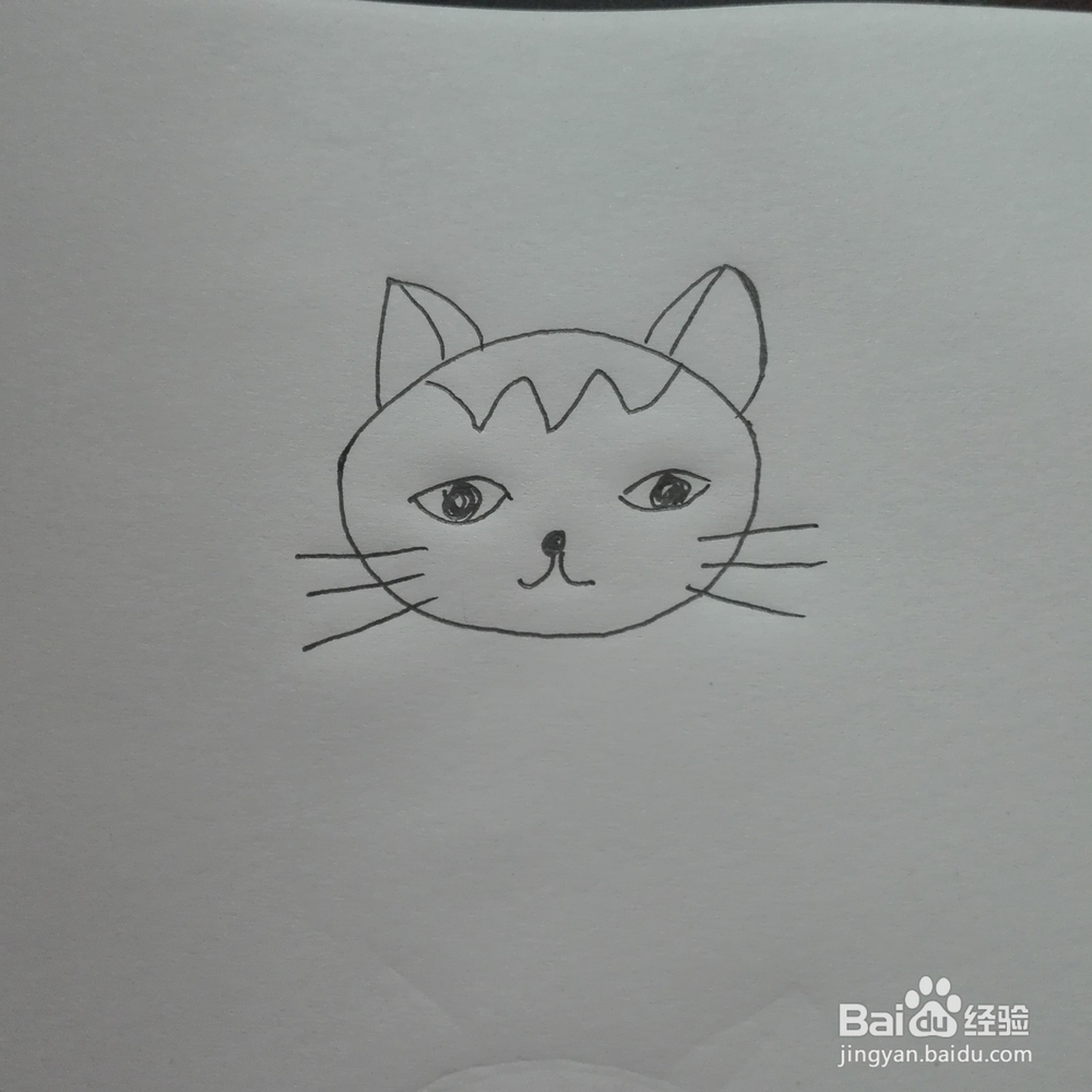 简笔画--小猫咪