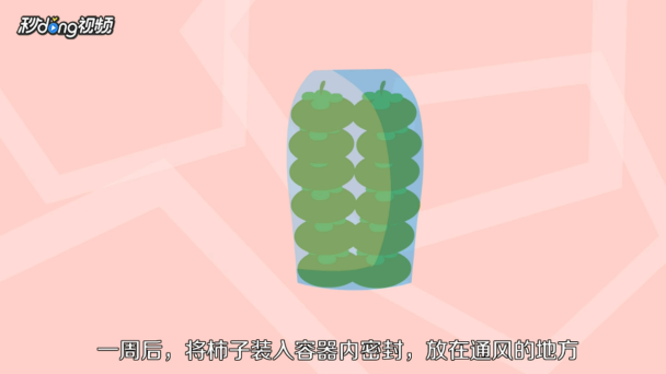 硬柿子该如何保存？