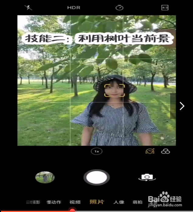 在树林中拍照的小技巧