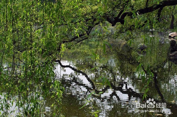 无聊的暑假应该怎么安排呢 ？