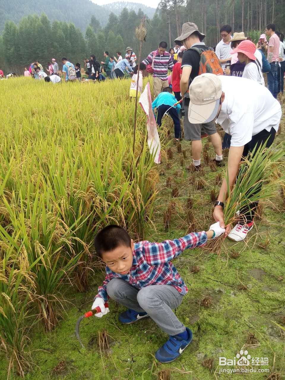 国庆过后，到长沙乡村怎样找农村人的乐子！！！