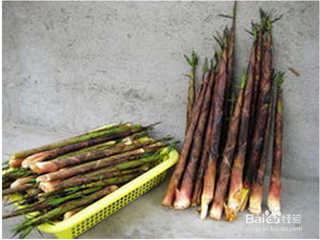 春夏季节清火的几种食物