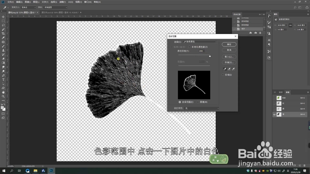 PS提取树叶脉络制作多彩树叶