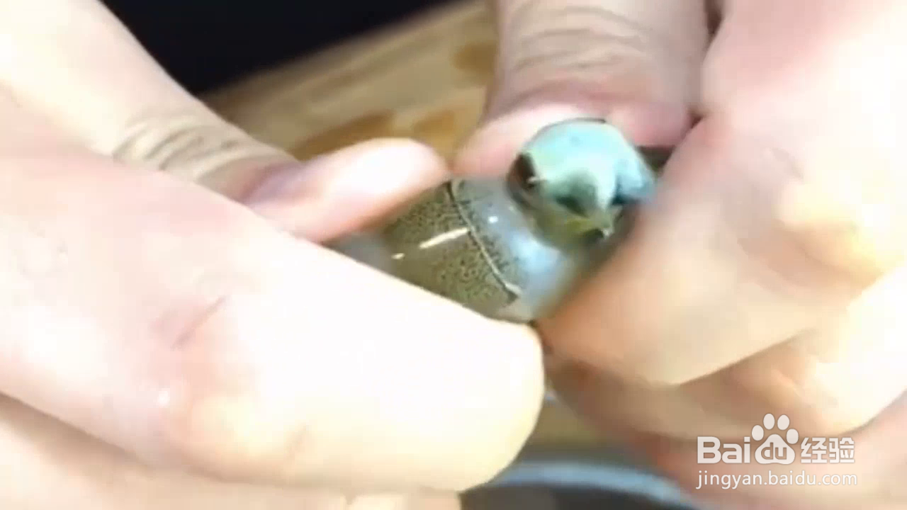 怎样正确处理虾