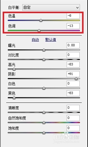 使用 Camera Raw 提高照片质量