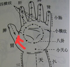 2岁宝宝夏日易患肠胃感冒