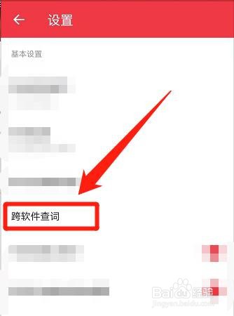 有道词典中，怎么设置复制后自动查词