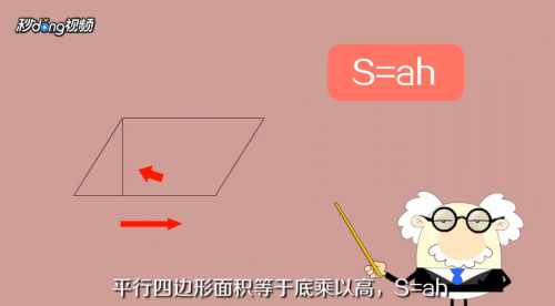 如何计算多边形的面积