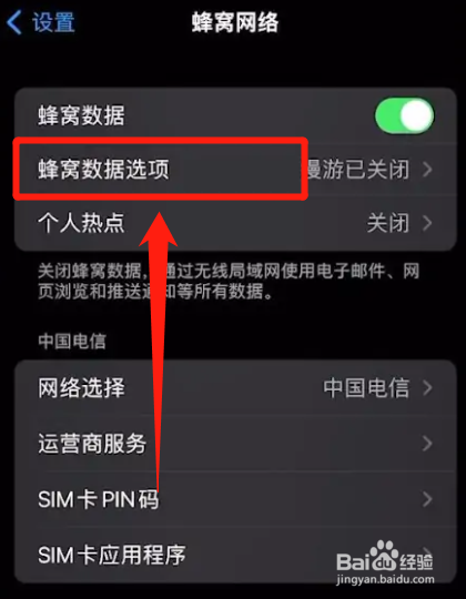苹果手机怎么关闭5g网络