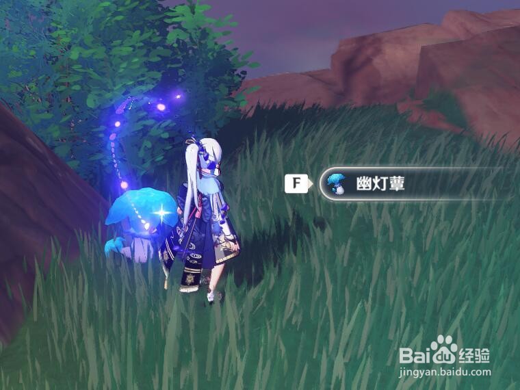 原神托马突破材料蓝色蘑菇
