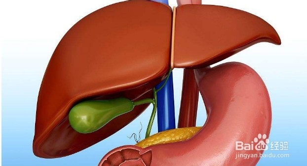 青梅酒的做法与功效