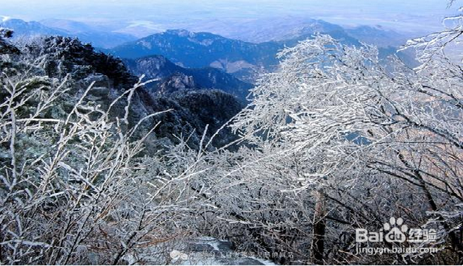 鬼斧神工般的精雕细琢 给你别样的冬季之美