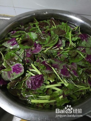 炒苋菜的做法