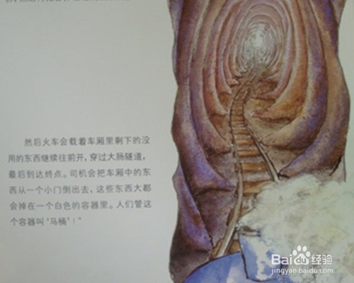 肚子里有个火车站——绘本故事