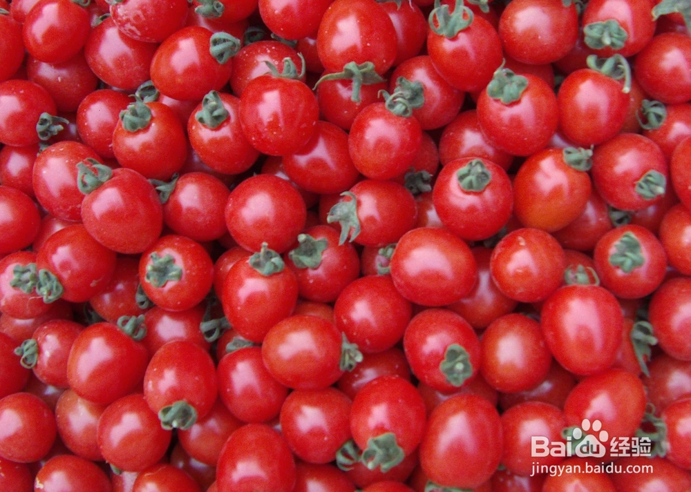 吃圣女果是不是可以减肥呢 圣女果的5大减肥优势