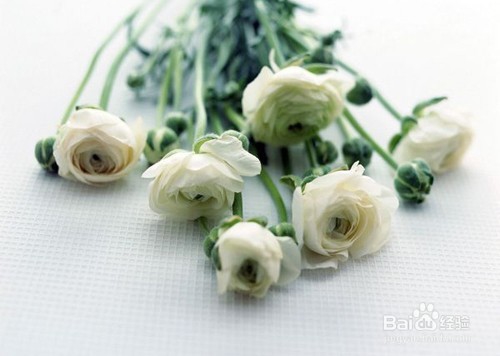 如何穿出法式休闲style（一）