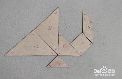用七巧板怎样拼一只小孔雀?