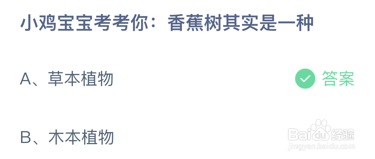 小鸡宝宝考考你: 香蕉树其实是一种蚂蚁庄园