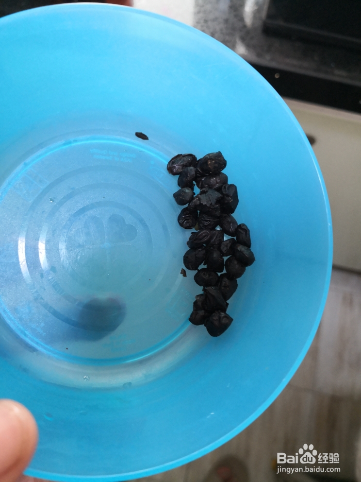 怎么简单的做无腥味豆豉煎焗脘鱼?