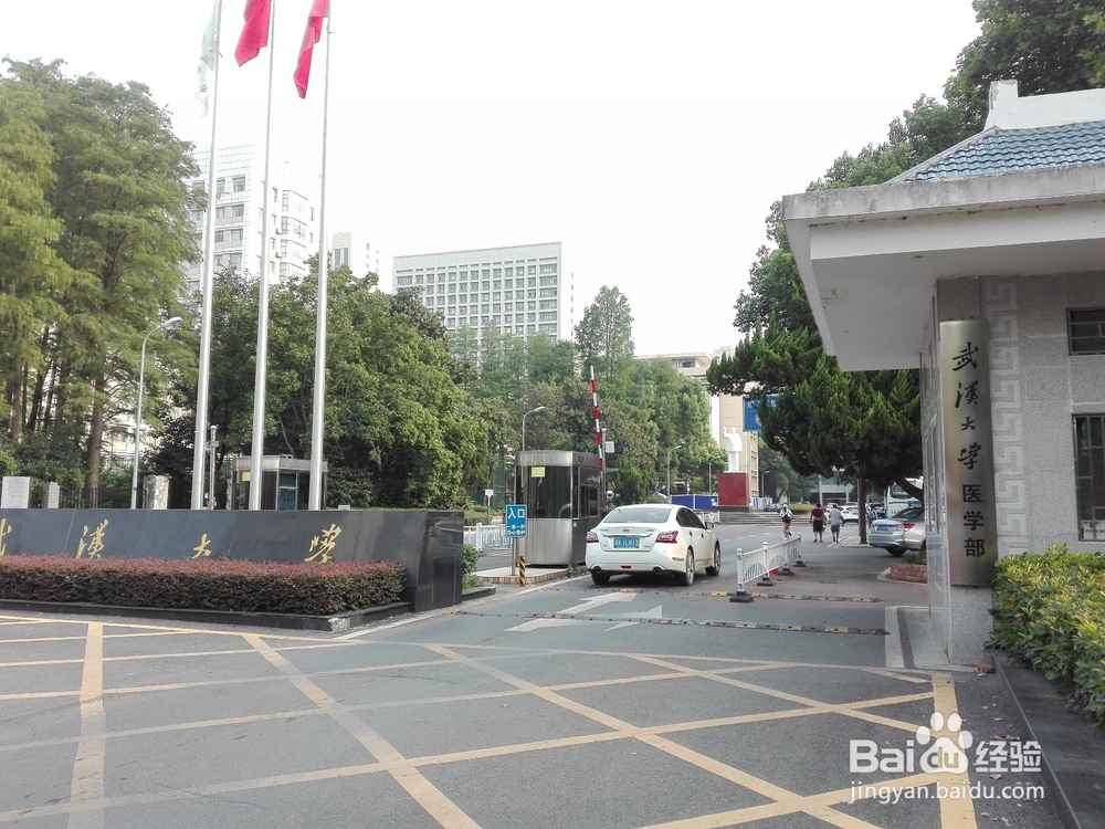 【校园指南】武汉大学出行指南