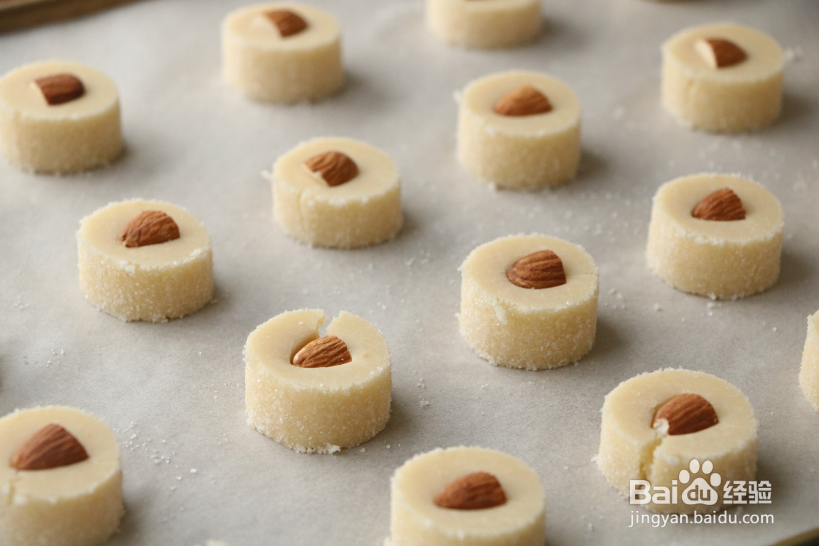 沙布蕾曲奇饼干