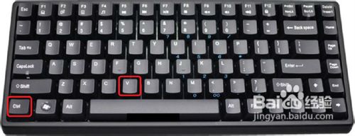 Excel 2010复制单元格方法