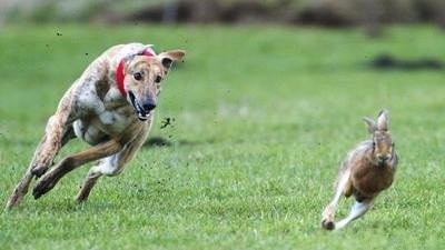 怎样做一名合格团员