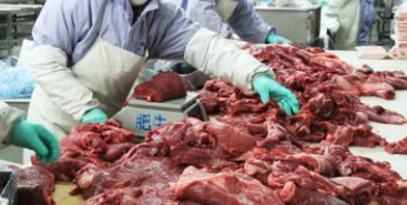 怎么预防食物中毒，食物中毒症状，食物中毒