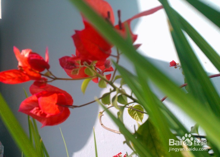 怎样拍摄生活画面