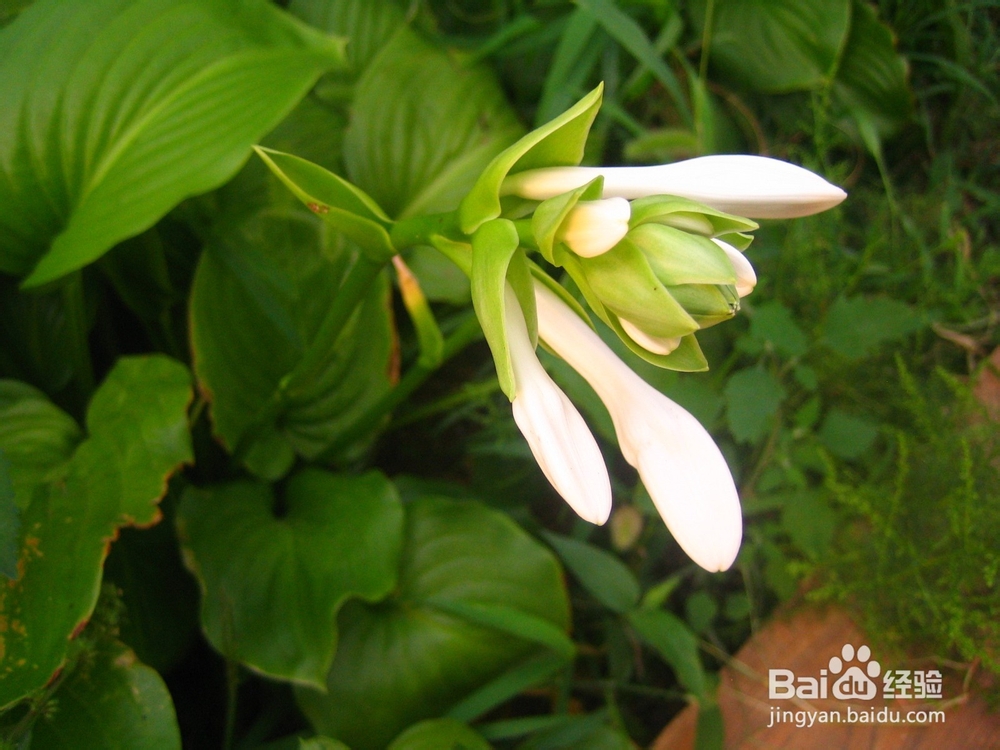 孩子的教育是潜移默化的