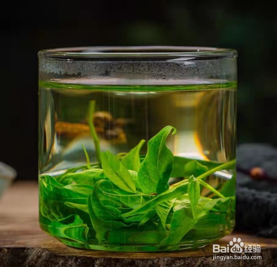 苦丁茶怎么泡最好