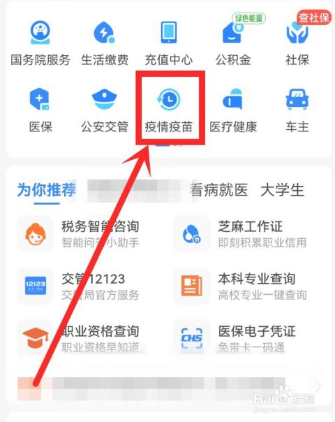 怎么在支付宝查家人的核酸结果