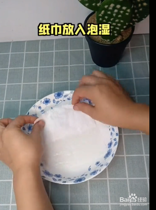 教你自制肥皂纸