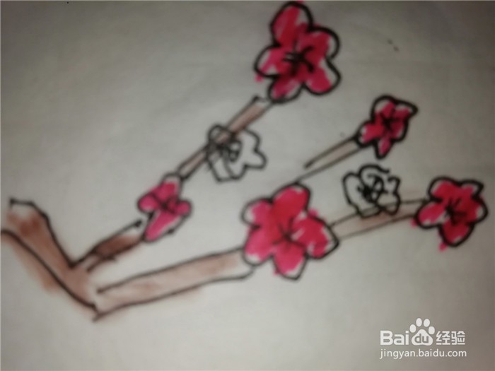 怎么样用简笔画画梅花