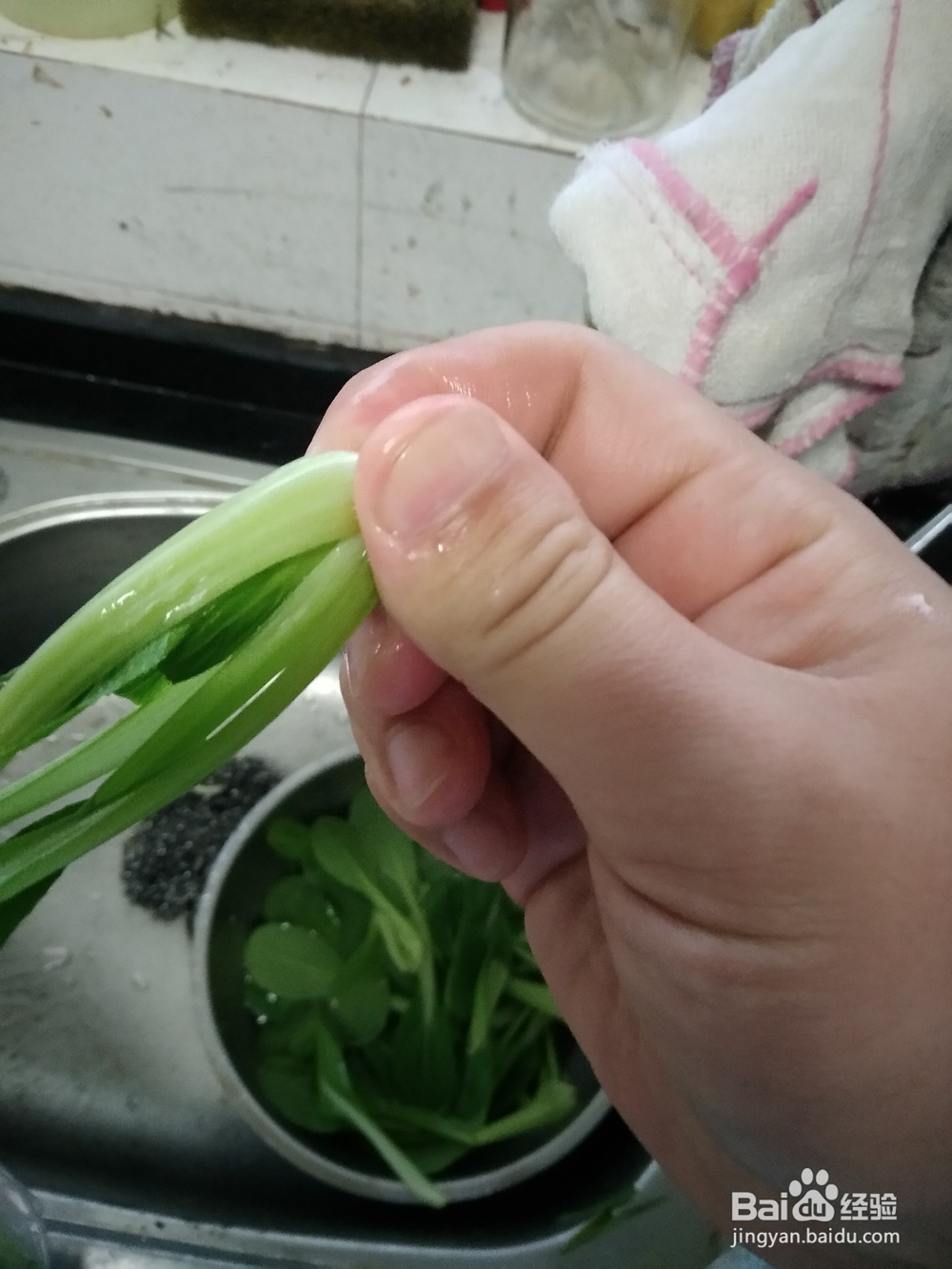 小青菜一手撵开法