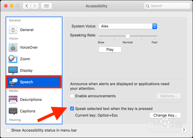 如何让Siri在Mac上为您阅读文章