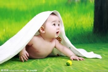 如何用互动玩具提高宝宝五项能力之十二月宝宝