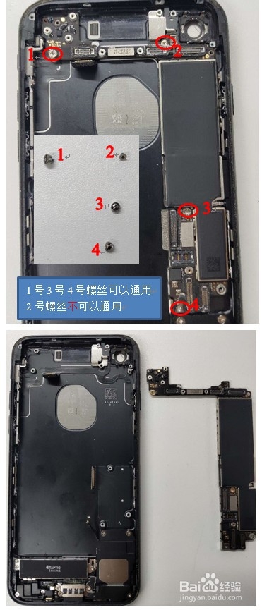 iphone7内部零件详细图片